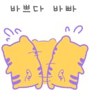 양양블루베리