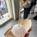 달아달아과일 | 경주 황리단길 달방앗간 과일모찌 젤라또모찌 디저트 내돈내산 솔직후기