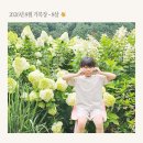 여주-0803 네이버블로그