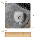 여름 시작