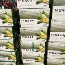 홍천종합운동장 이미지