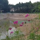 호수산장 관광농원 이미지