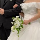 카라 | 보타닉파크웨딩 하객후기｜카라홀 예식부터 뷔페 구성까지 한눈 에 정리🥰