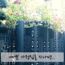 물빛극장 이미지