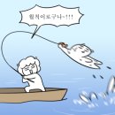 영도식당 이미지