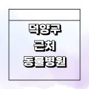 해랑동물병원 | 고양 덕양구 근처 동물병원 추천 잘하는곳 정보...주말 강아지 수술 고양이 중성화 공휴일 후기 치료 가격