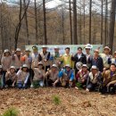 국립자연휴양림관리소(산음자연휴양림) 이미지