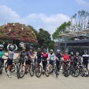 명태덕장 이미지