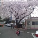 달맞이미용실