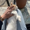 저구리323펜션