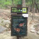 밤나무길 이미지