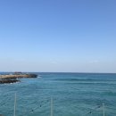함덕수산시장