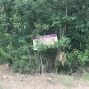 연경동 광해군태실 이미지