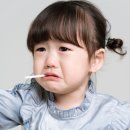러브씨드스튜디오