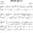 복음 밖에 없습니다 / 이 세상에 참된 위로 없으니 (손경민) [온누리교회] 이미지