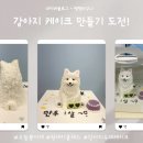 오늘뿐이개 이미지