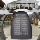 오대산한옥마을 이미지