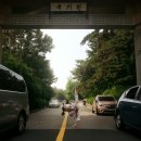 다산 용인대 수호태권도 이미지