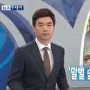 꿀벌 보호하는 방어철망 화제 이미지