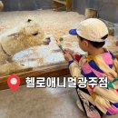 애니멀 패밀리 | 광주 아이랑 실내 동물 체험하는 곳 먹이주기 실내놀이터 헬로애니멀 광주점