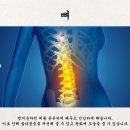 ~24(일) [일동 녹용대보]발효 녹용보약 :: 면역력, 아주 그냥 죽여줘요! 비교불가❌ K발효공법으로 체내...