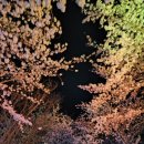 황산신발 이미지