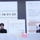 엘케이비스타