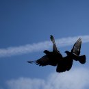 달콤한 쿠키 이미지