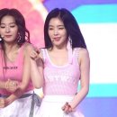 빨간맛 Daum카페