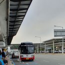 중앙동참치좋은날 이미지