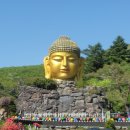 와우정사 | [용인여행4]📿 와우정사 방문 후기 – 청정한 자연 속 평온한 힐링 사찰 여행
