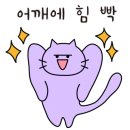 프리뷰티셀플라 이미지