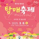 순천 기독교역사박물관 | 순천 매화 명소 탐매마을 탐매축제 주차 정보 홍매화 개화시기