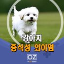 Dr.수 동물병원 이미지