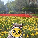 미사누리2호공원 이미지