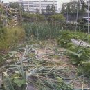 장동농장 이미지