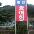 맛질송어회 이미지