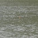 송라낚시터 이미지