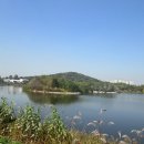 서호공원 이미지