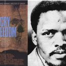 비코(BIKO) 이미지