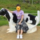 다상농장 이미지