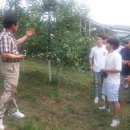 도원농장 이미지