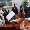 최영애 이미지
