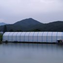 시동유정낚시터 이미지