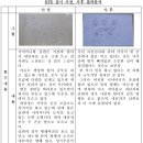 KFD 검사 사전, 사후 결과 보고서 이미지