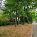 일산로285번길 이미지