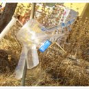 가락골 농장 이미지