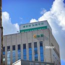 NH농협 월산동 지점 앞 | NH농협은행 지역농협 서류합격 면접 후기
