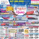 (주) 아메리카투어 이미지
