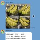 원두막메론